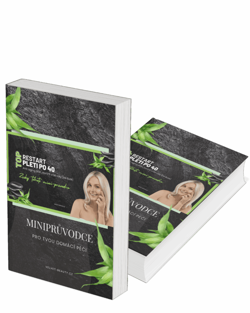ebook minipruvodce cover